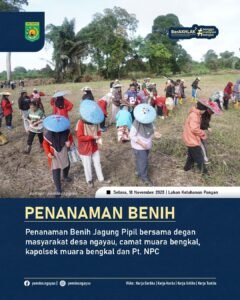 u3-WhatsApp-Image-2025-11-19-at-06.55.41-1